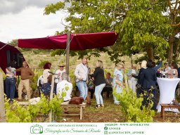 Festival Mar de Tethys 2026 - Bodega Vetas